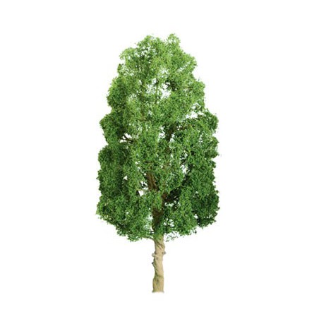 Arbre SYCOMORES 50mm - ECHELLE N