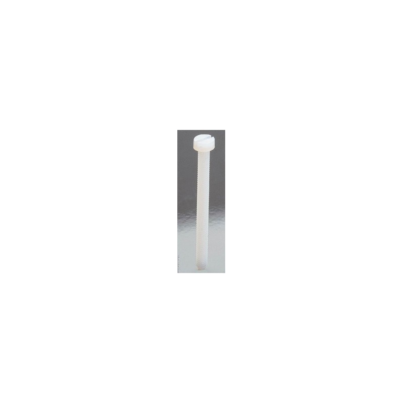 Visserie VIS NYLON TETE PLATE M4 x 10mm