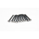 Visserie Vis TC Inox M2x10 (10 pièces)