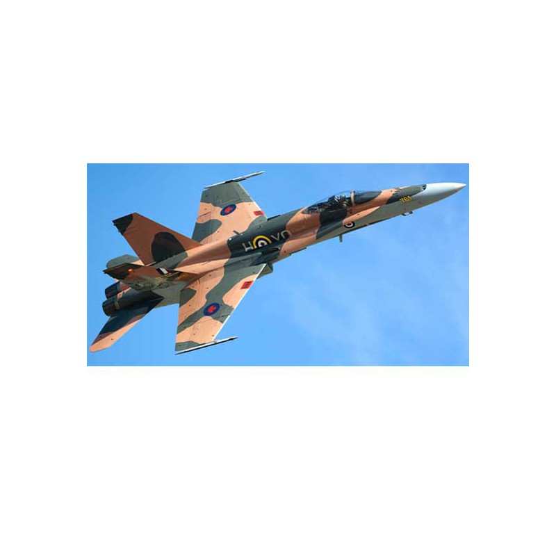 Maquette d'avion en plastique CF-18A Hornet 1/72