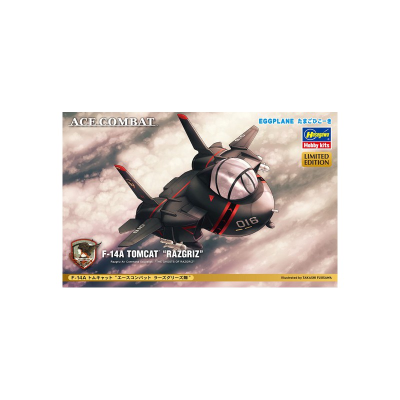 Maquette d'avion en plastique F-14A RAZGRIZ Egg Plane