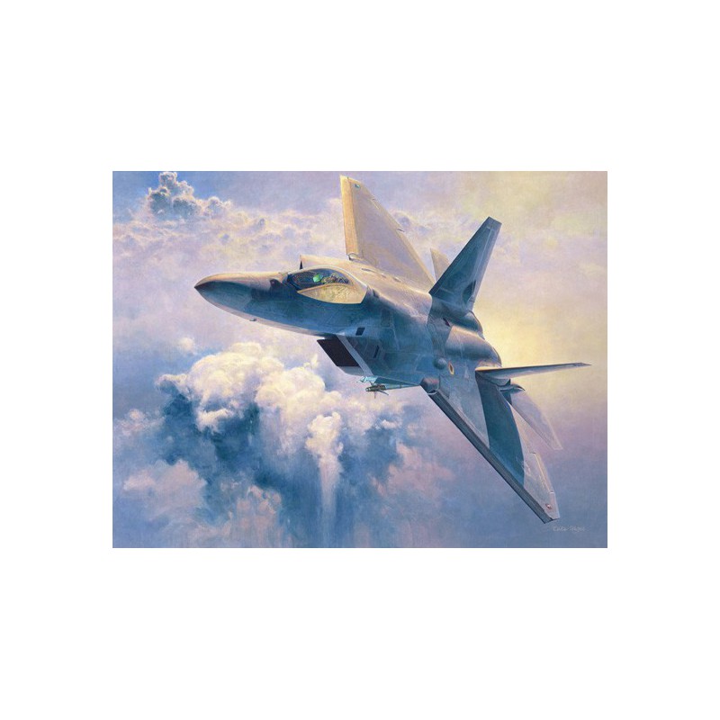 Maquette d'avion en plastique F-22 RAPTOR 1/48 (PT45)