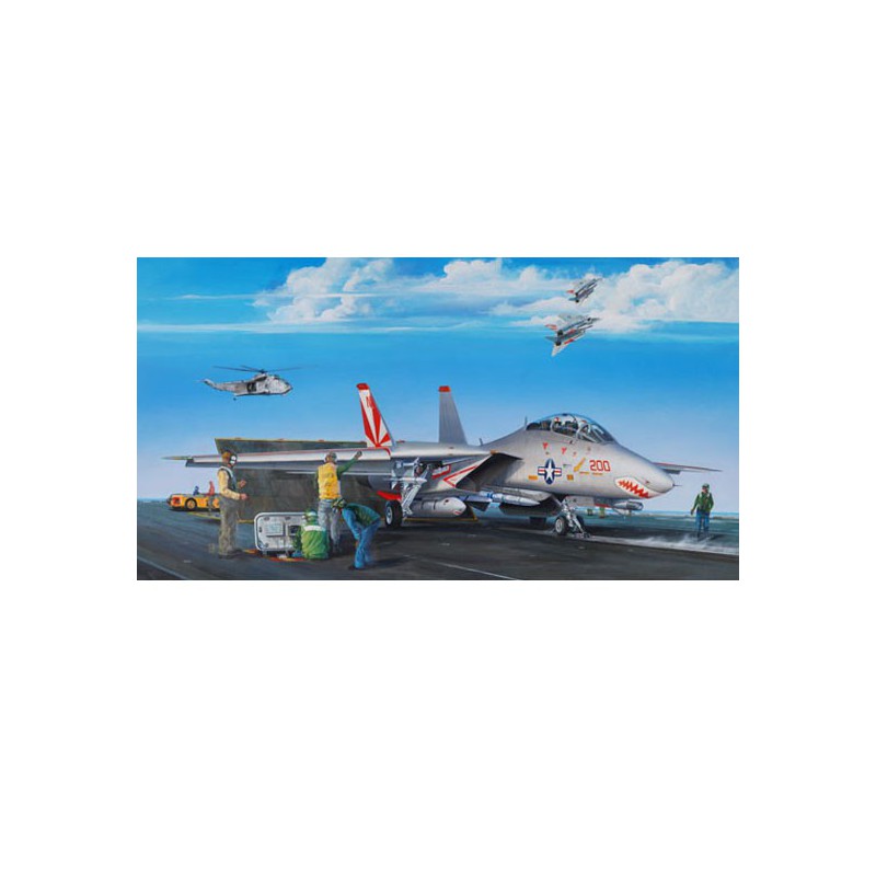 Maquette d'avion en plastique F-14A TOMCAT