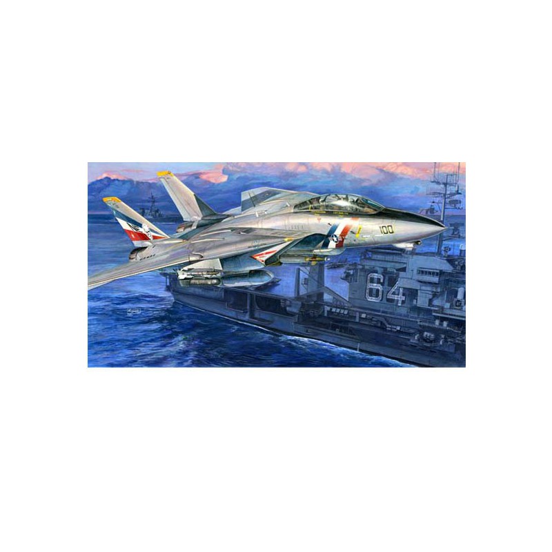 Maquette d'avion en plastique F-14D SUPER TOMCAT