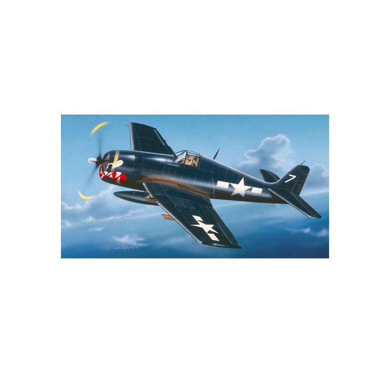 Maquette d'avion en plastique F6F-5 "HELLCAT"