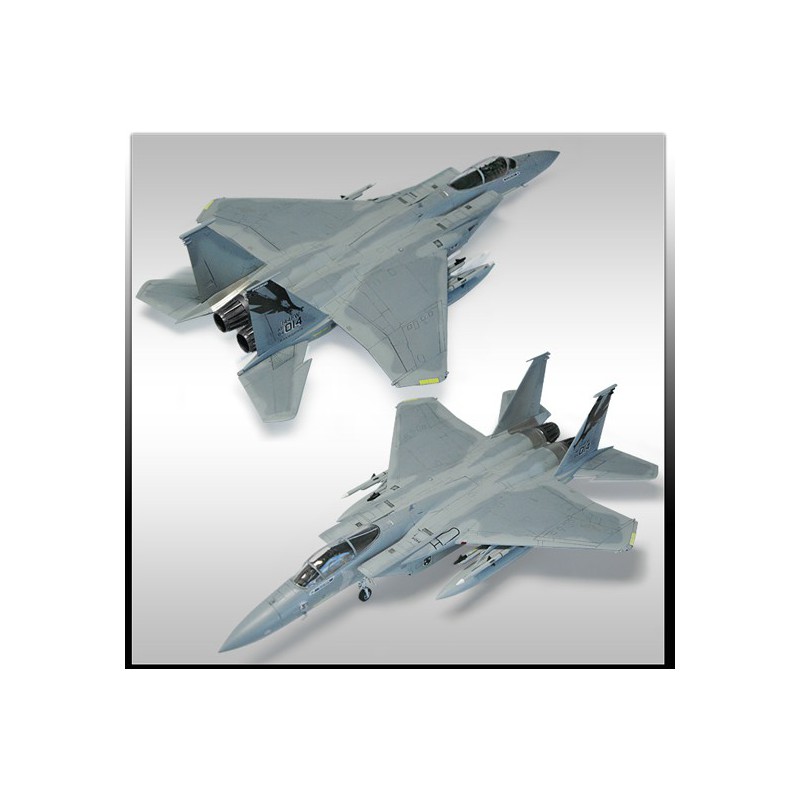 Maquette d'avion en plastique F-15 MSIP II 144th FW 1/72