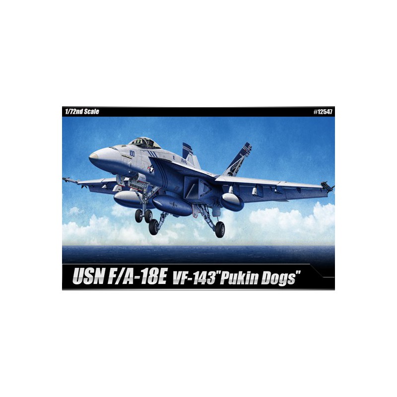 Maquette d'avion en plastique USN F/A-18E VFA-143 1/72