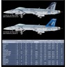 Maquette d'avion en plastique USN F/A-18E VFA-143 1/72