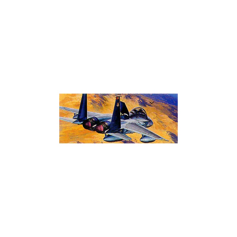 Maquette d'avion en plastique F-15D EAGLE1/72
