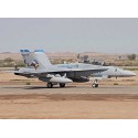 Maquette d'avion en plastique F/A-18D Hornet 1/48
