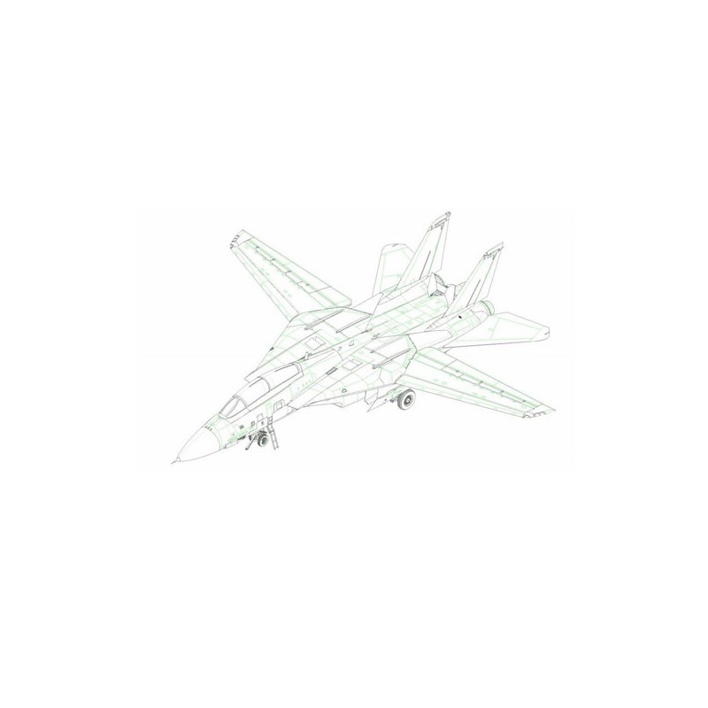 Maquette d'avion en plastique “Persian Cat” F-14A TomCat – IRIAF 1/48