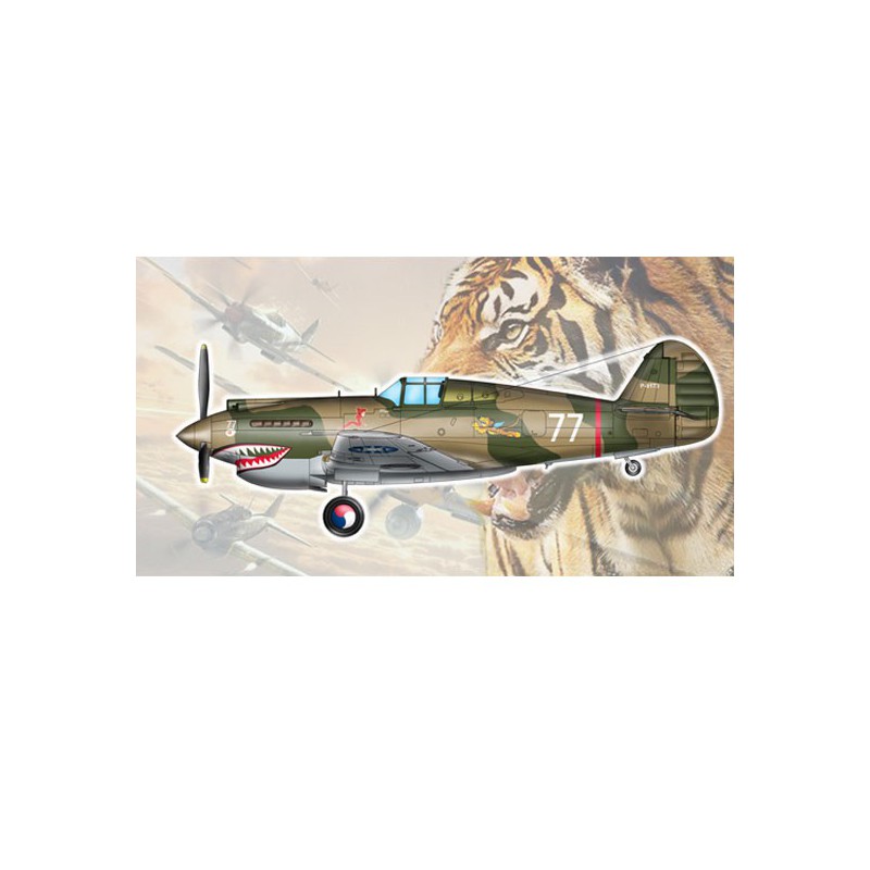 Maquette d'avion en plastique H-81A-2 (AVG)