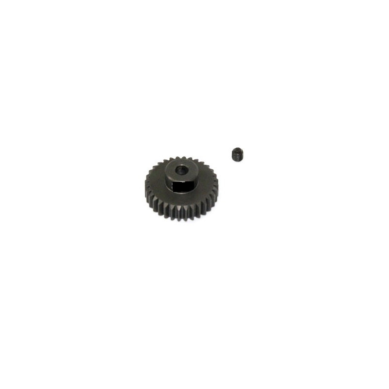 Moteur électrique radiocommandé Pignon Moteur 24 Dents 1/10