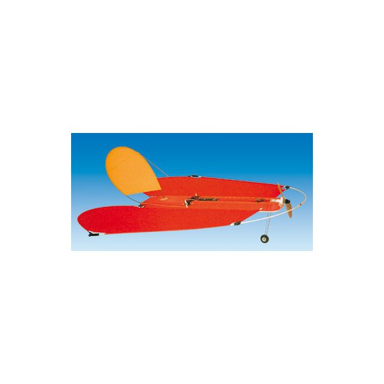 Avions électrique radiocommandé FLEX