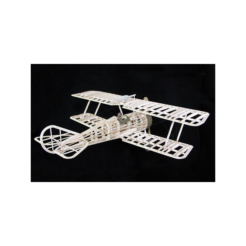 Avion de vol libre radiocommandé THOMAS MORSE SCOUT