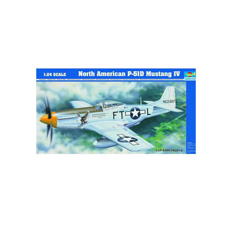 Maquette d'avion en plastique P-51D MUSTANG IV