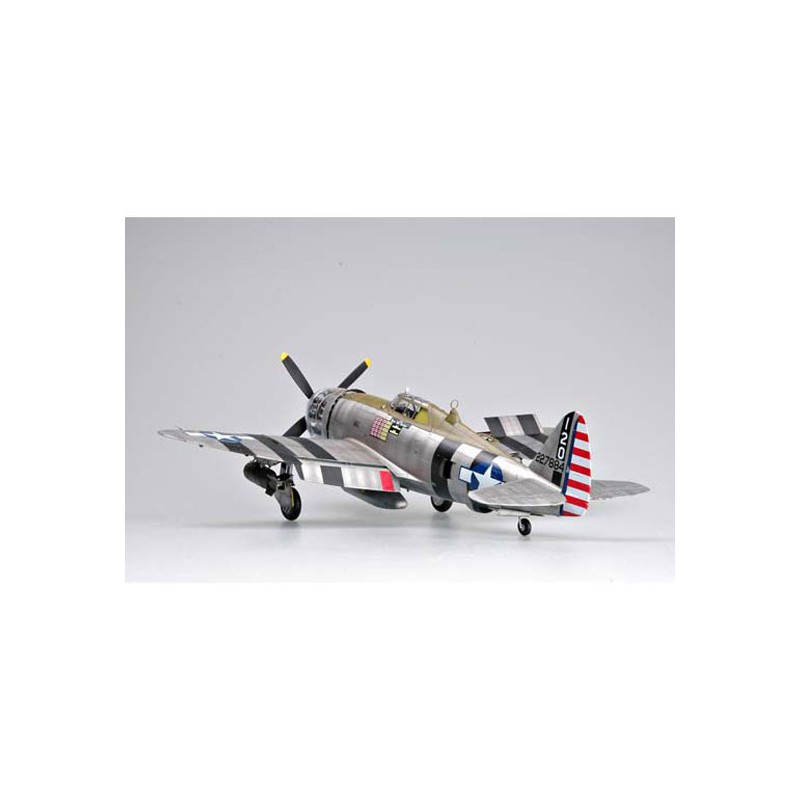 Maquette d'avion en plastique P-47D "RAZORBACK"