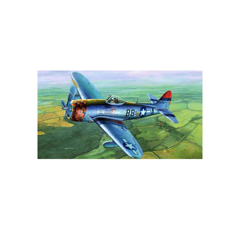 Maquette d'avion en plastique P-47D "DORSAL FIN"