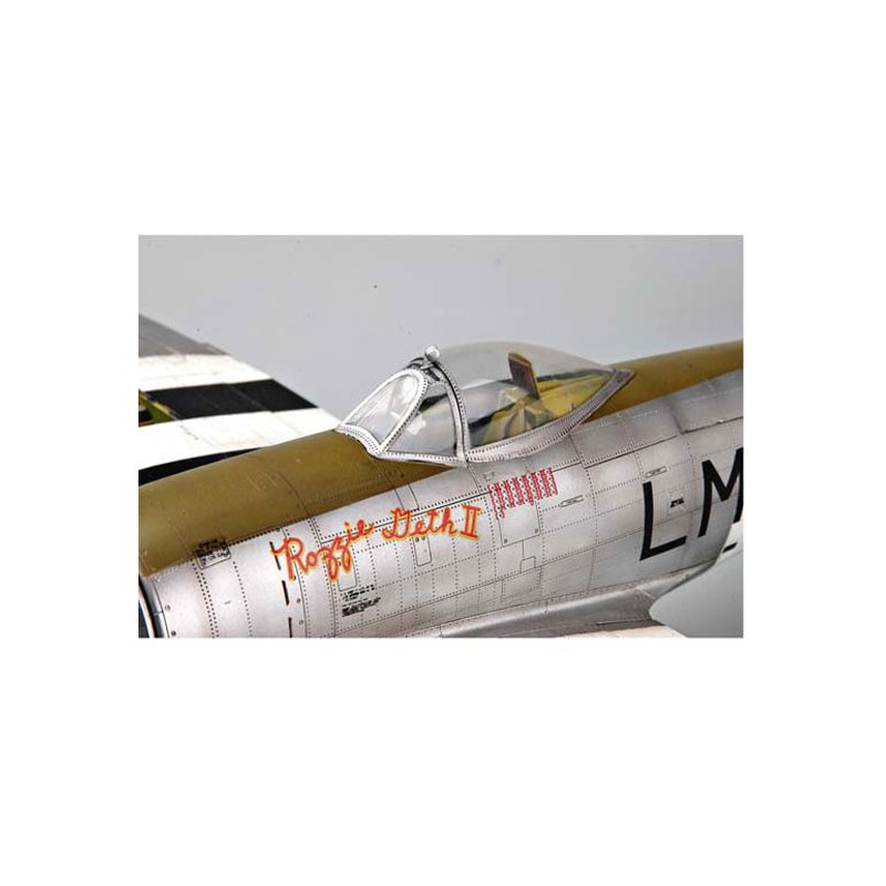 Maquette d'avion en plastique P-47D "DORSAL FIN"