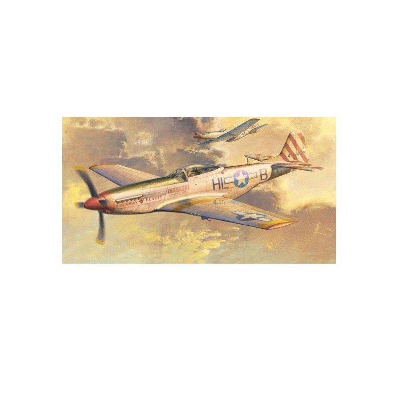 Maquette d'avion en plastique P-51 D MUSTANG