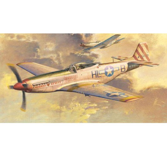 Maquette d'avion en plastique P-51 D MUSTANG