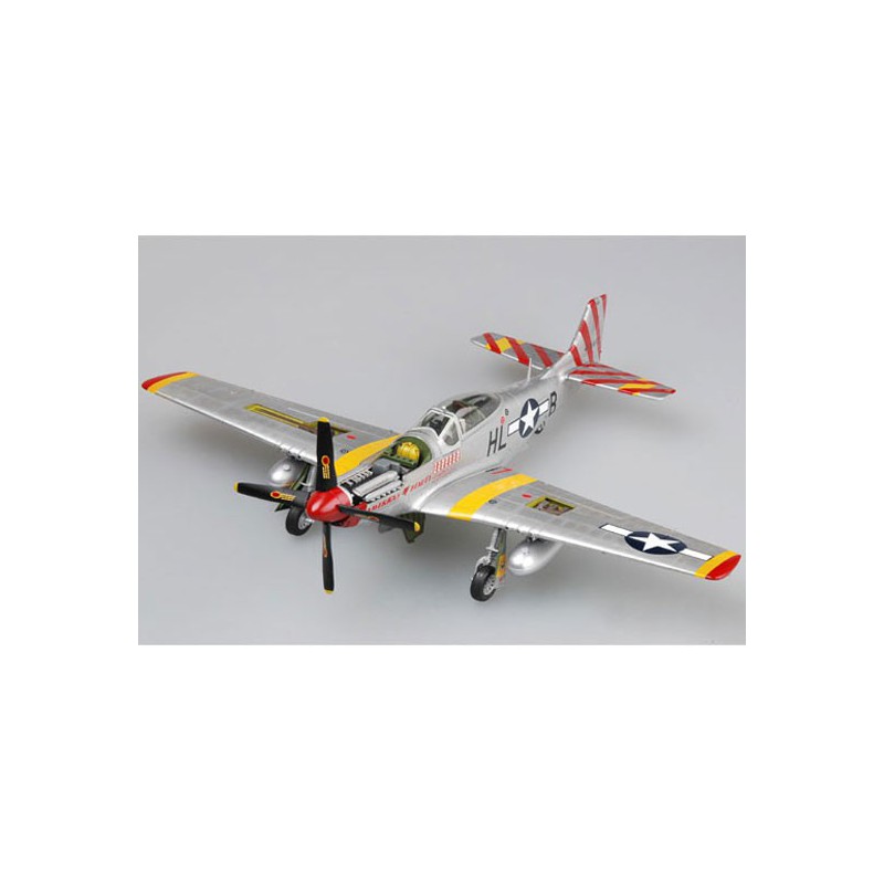 Maquette d'avion en plastique P-51 D MUSTANG