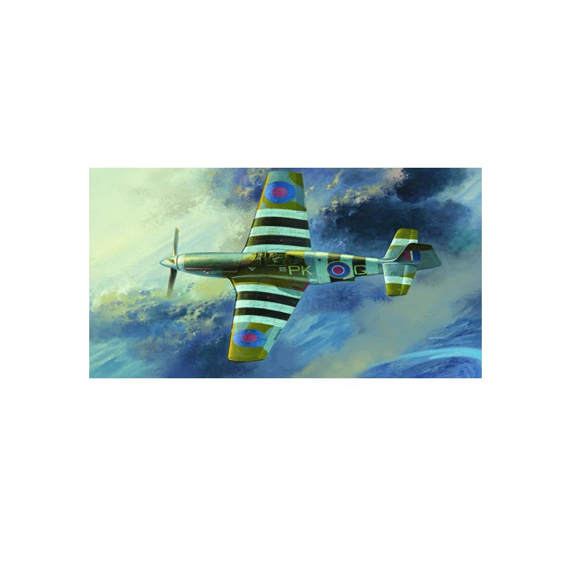 Maquette d'avion en plastique RAF MUSTANG MK.III
