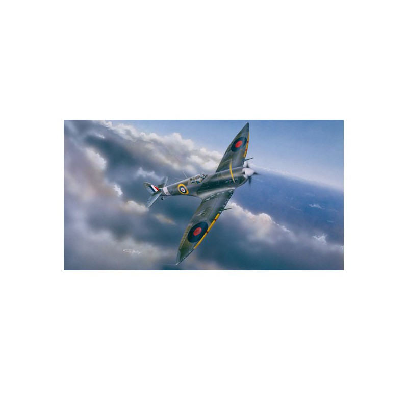 Maquette d'avion en plastique SPITFIRE MK.VI