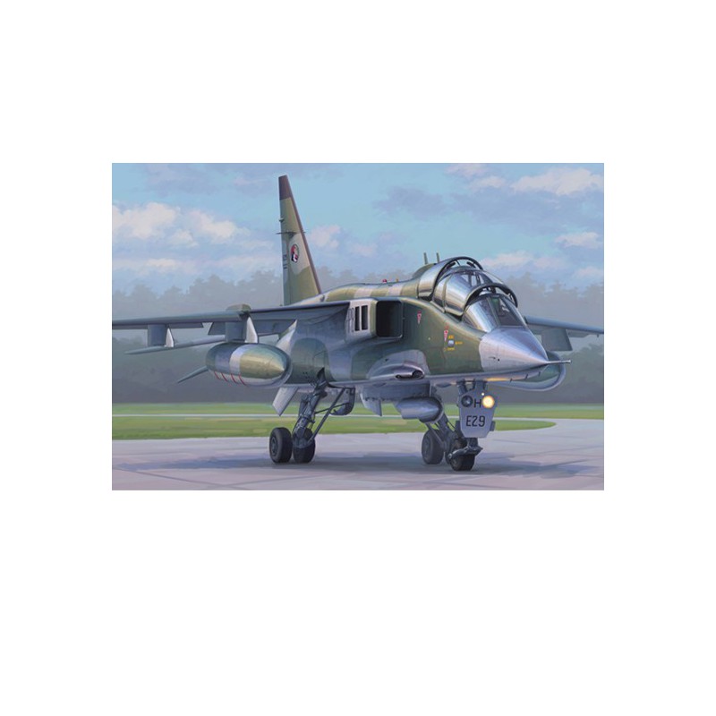 Maquette d'avion en plastique Jaguar E Biplace 1/72