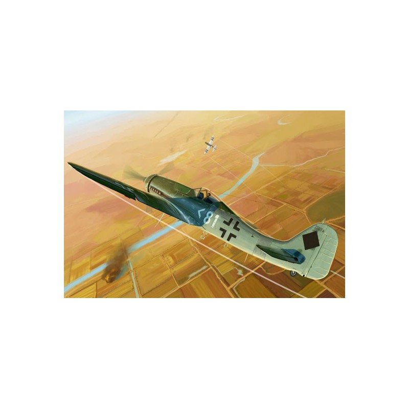 Maquette d'avion en plastique Focke Wulf FW190D-11 1/48