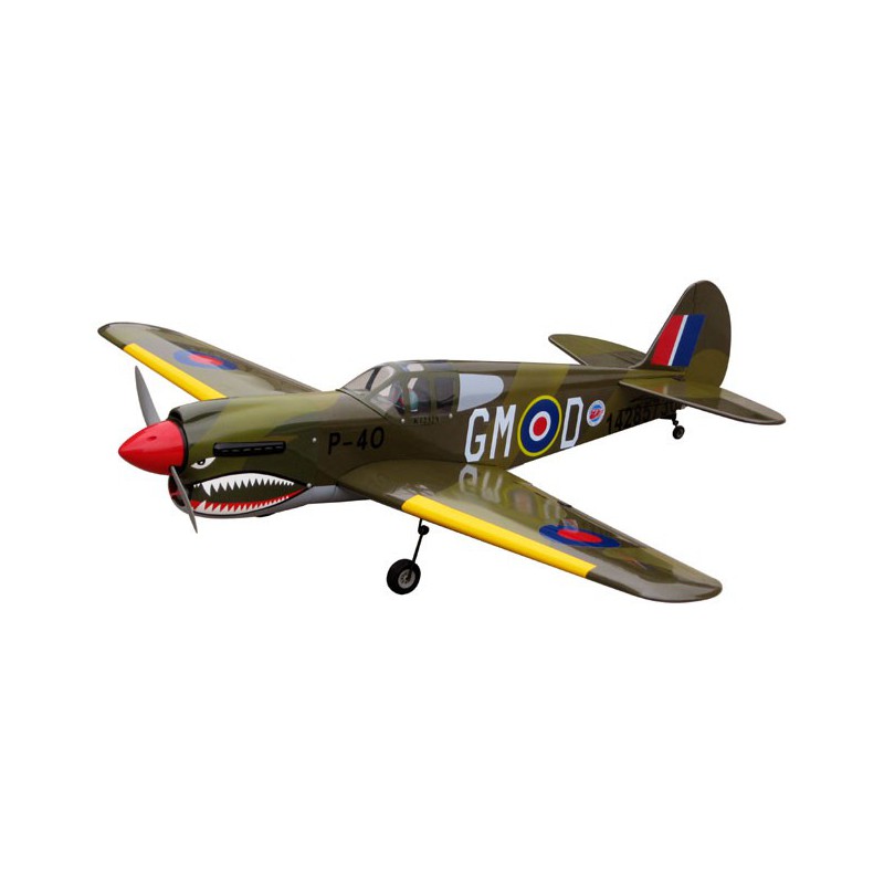 Avion thermique radiocommandé P-40 WARHAWKARF