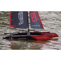 Voilier radiocommandé Force 2 Catamaran RTS