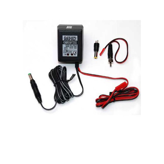 Chargeur pour accu pour appareil radiocommandé Chargeur Accus Radio 220V