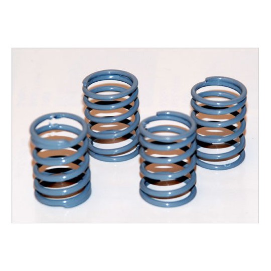 Accessoires pour voiture radiocommandée 4 RESSORTS MOUS 1/10 PISTE