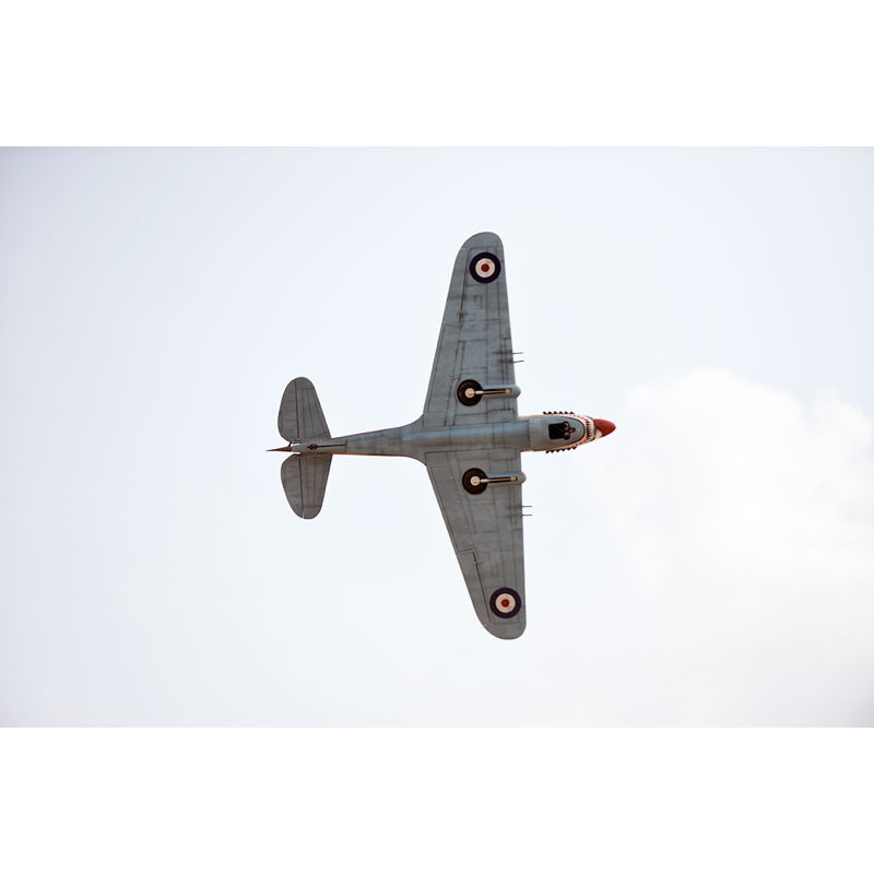Avion thermique radiocommandé P-40C Tomahawk 60cc ARF