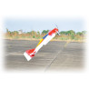 Avions électrique radiocommandé WILD HOTS EP ARF