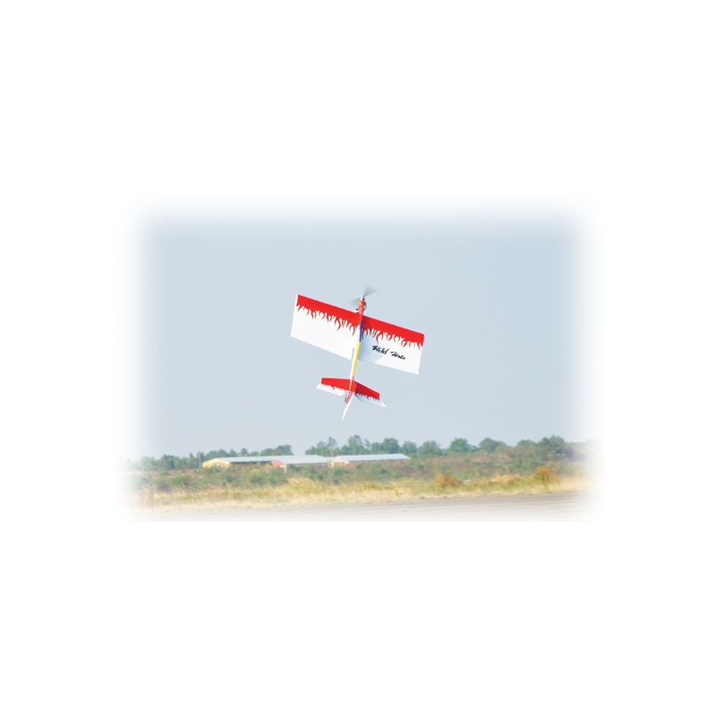 Avions électrique radiocommandé WILD HOTS EP ARF