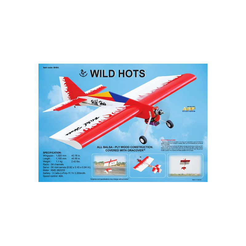 Avions électrique radiocommandé WILD HOTS EP ARF