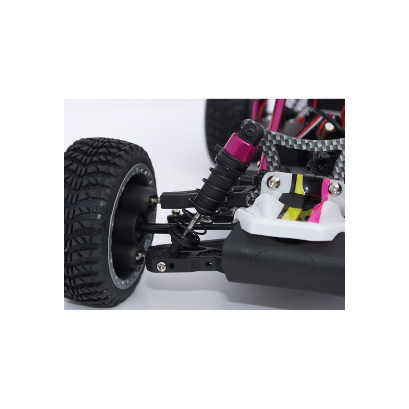 Voiture électrique radiocommandée ATOM Roller Cage BL 1/10