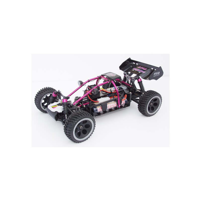 Voiture électrique radiocommandée ATOM Roller Cage BL 1/10