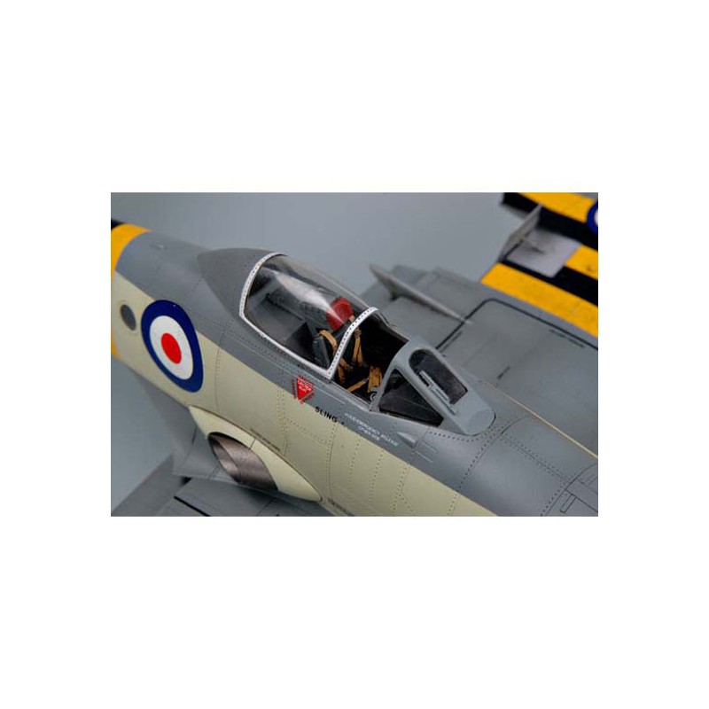 Maquette d'avion en plastique WYVERN S.4