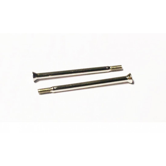 Pièce pour Buggy electrique 1/18 Pivots de direction vissés
