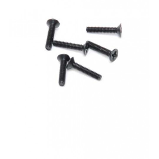 Pièce pour Buggy electrique 1/18 Texas Vis Fraisée  M2x10(6pcs)