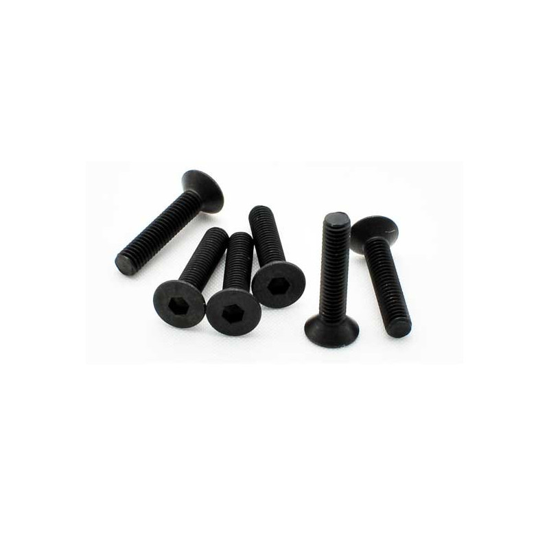 Pièce pour voiture electrique Vis BTR tête fraisée M3x15mm