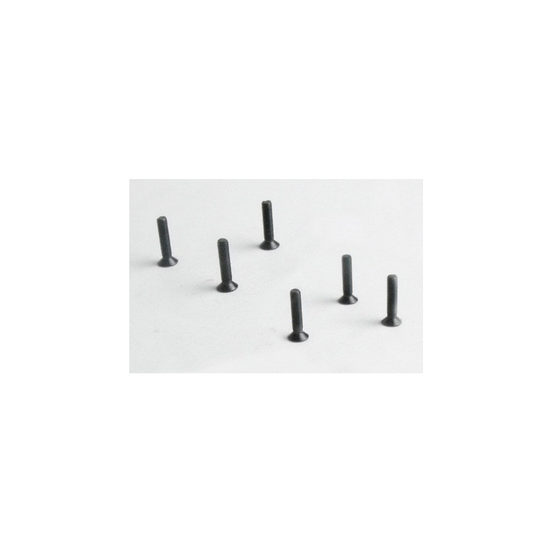 Pièce pour voiture electrique tous chemin 1/10 Vis plate M3*14  6pcs