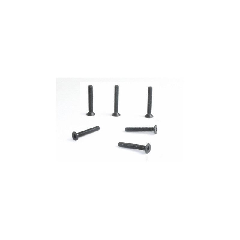 Pièce pour voiture electrique tous chemin 1/10 Vis plate M3*20  6pcs