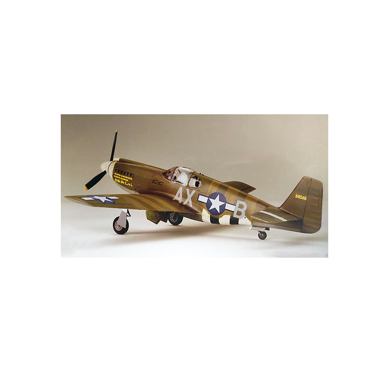 Maquette d'avion en plastique F-6B Mustang 1/48
