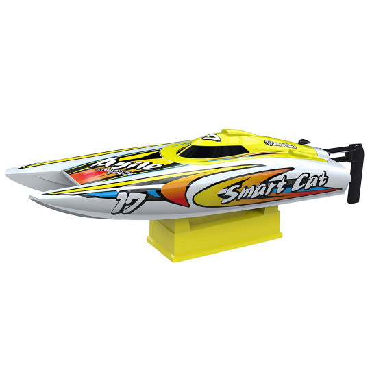 Barchino elettrico...