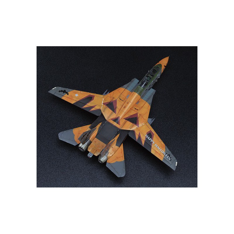 Maquette d'avion en plastique F-14D Tomcat ACE 1/72