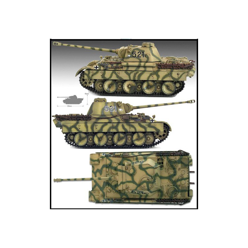 Maquette d'avion en plastique IL-2M & Panther D 1/72